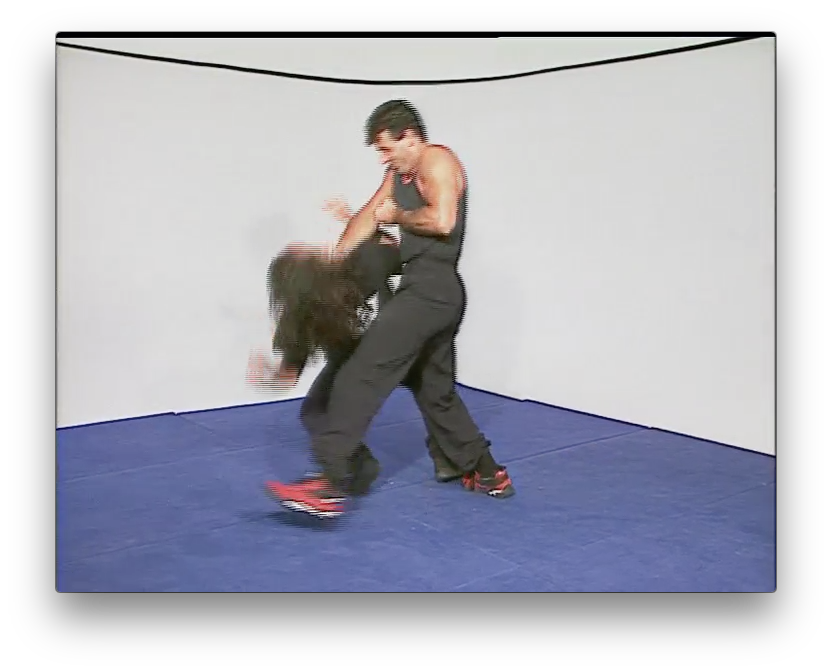 Wing Tsun Combat Techniques by Victor Gutierrez (On Demand) - Budovideos Inc