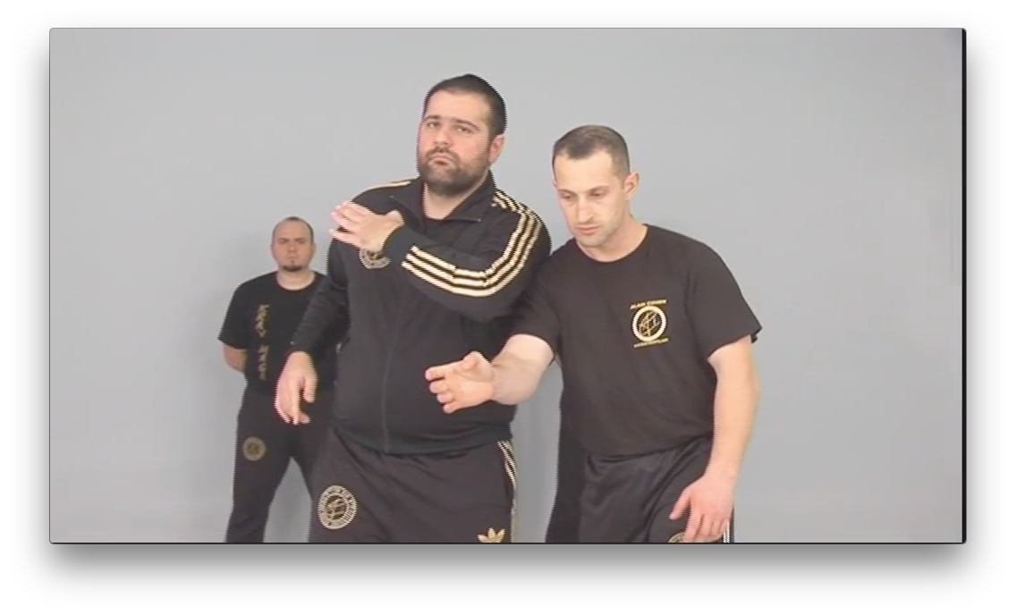 Authentic Krav Maga by Alain Cohen (On Demand) - Budovideos Inc