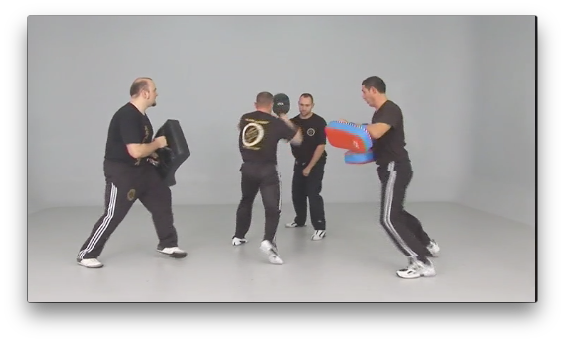 Authentic Krav Maga by Alain Cohen (On Demand) - Budovideos Inc