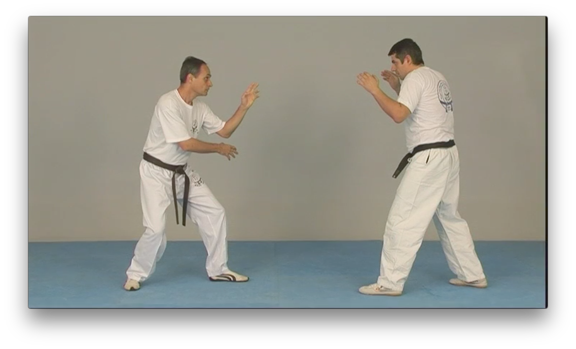 Krav Maga by Kobi Lichtenstein (On Demand) - Budovideos Inc