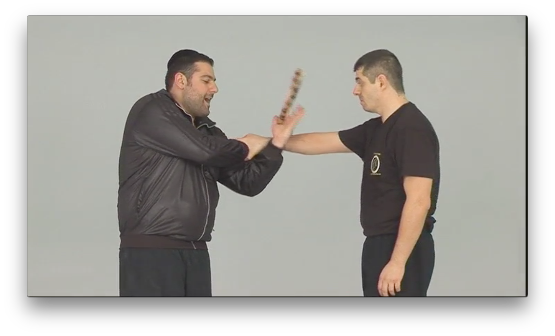 Krav Maga for Security Professionals by Alain Cohen (On Demand) - Budovideos Inc
