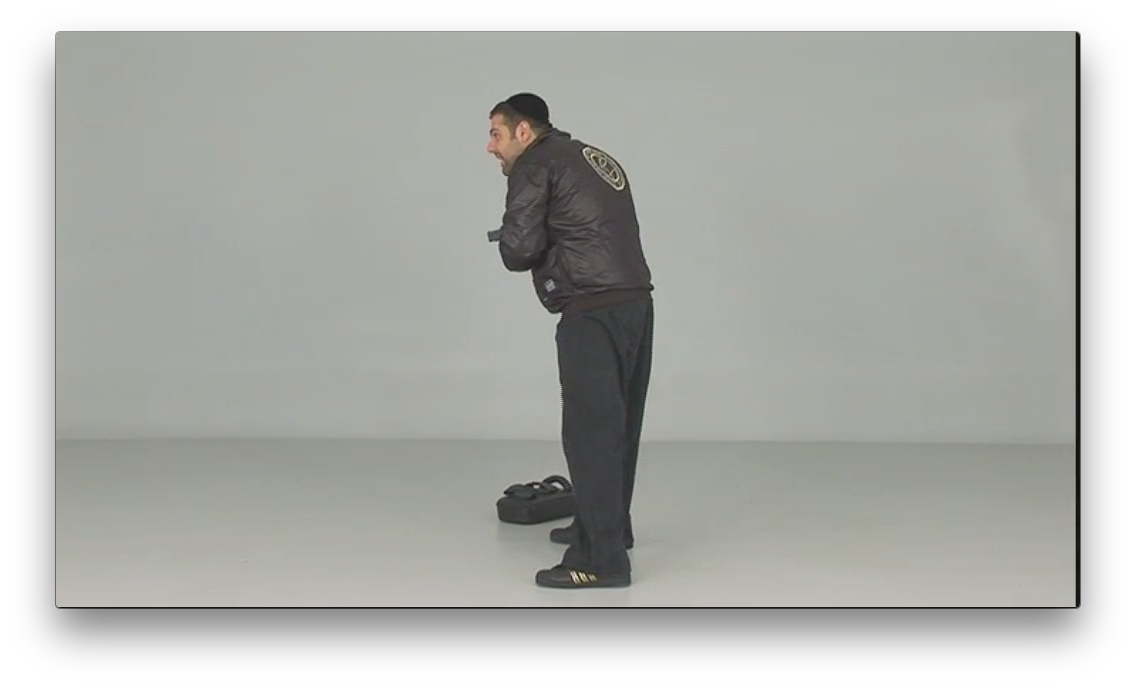 Krav Maga for Security Professionals by Alain Cohen (On Demand) - Budovideos Inc