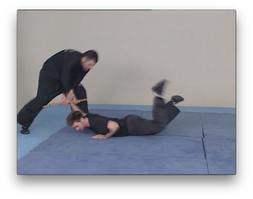 IDS Krav Maga by Alain Cohen (On Demand) - Budovideos Inc