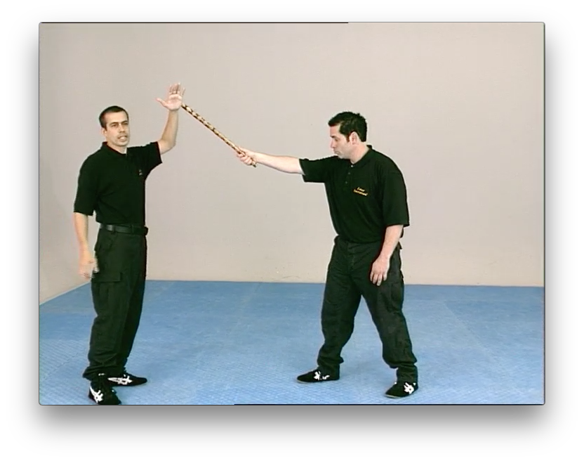 Kapap Lotar Krav Maga by Avi Nardia (On Demand) - Budovideos Inc
