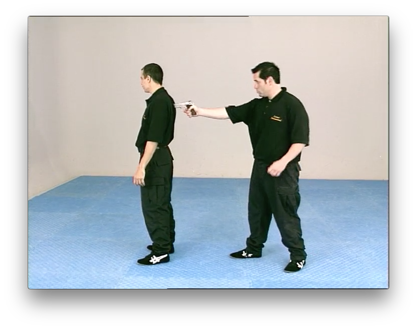 Kapap Lotar Krav Maga by Avi Nardia (On Demand) - Budovideos Inc