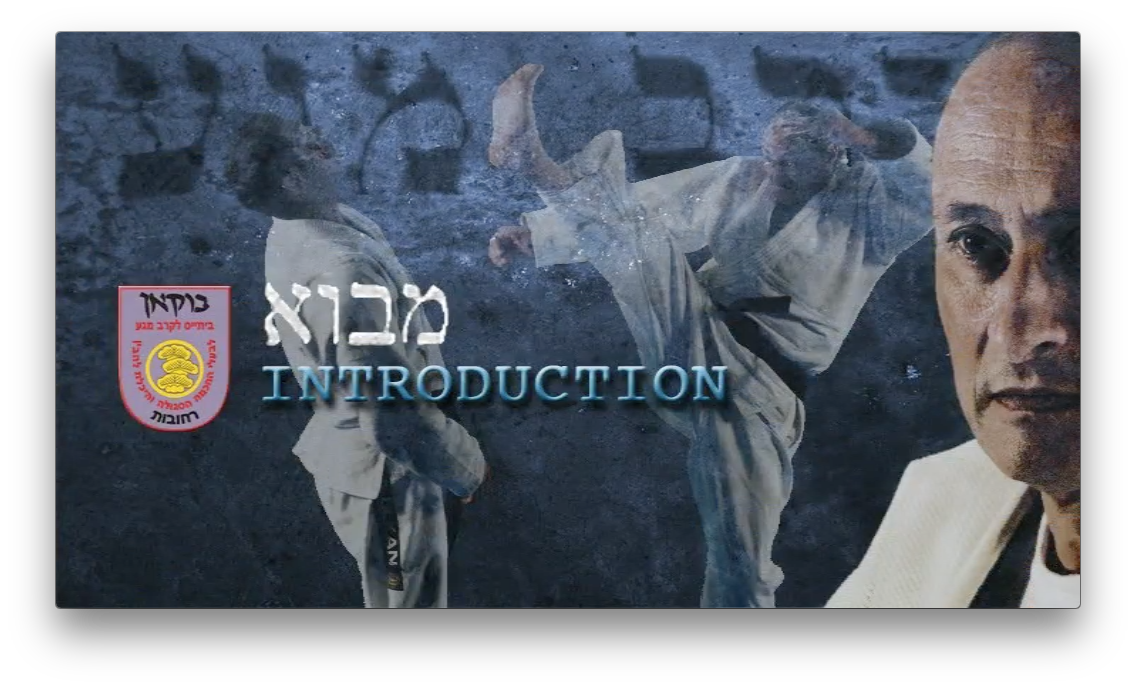 Original Krav Maga Blue Belt program Vol 2 by Yaron Lichtenstein (On Demand) - Budovideos Inc