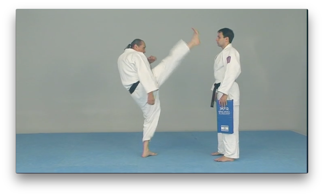 Original Krav Maga Blue Belt program Vol 1 by Yaron Lichtenstein (On Demand) - Budovideos Inc