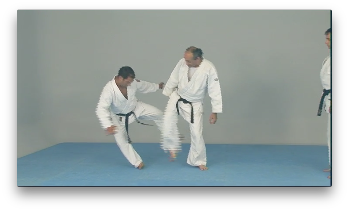 Original Krav Maga Blue Belt program Vol 1 by Yaron Lichtenstein (On Demand) - Budovideos Inc