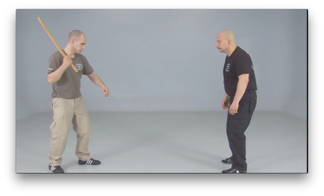Russian Systema, Disarm techniques by Marco Morabito (On Demand) - Budovideos Inc