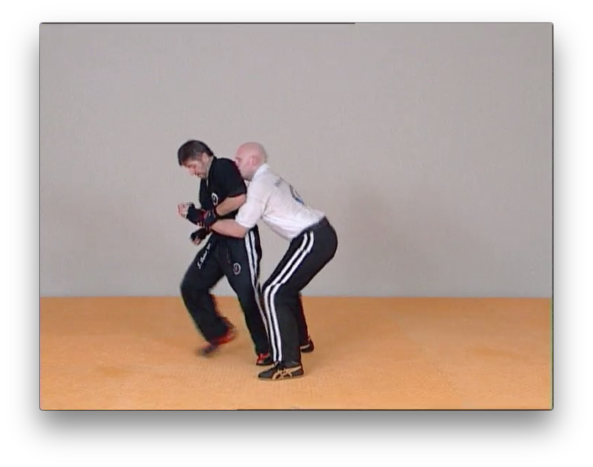 Self Pro Krav by Jacques Levinet (On Demand) - Budovideos Inc