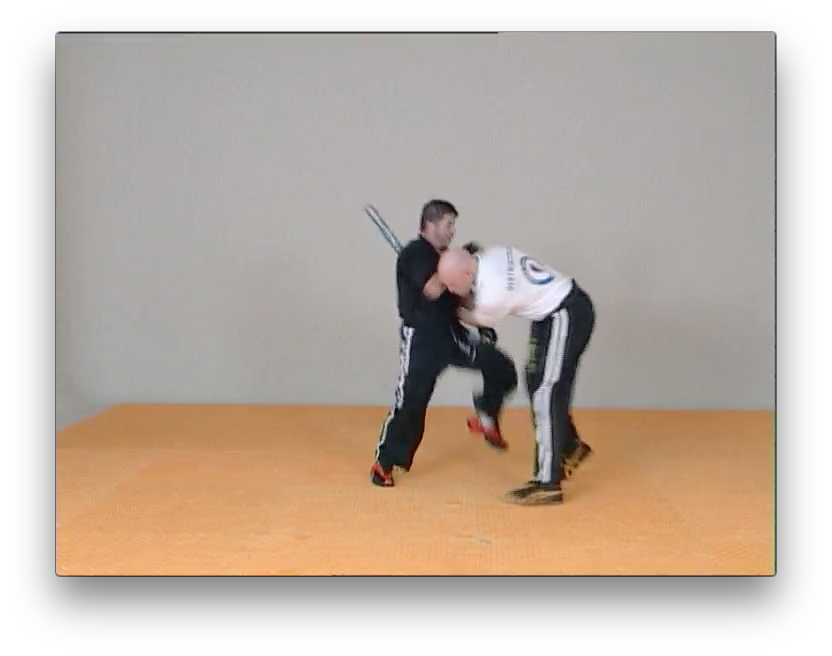 Self Pro Krav by Jacques Levinet (On Demand) - Budovideos Inc
