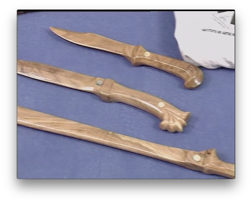 Warriors Eskrima by Krishna Godania (On Demand) - Budovideos Inc