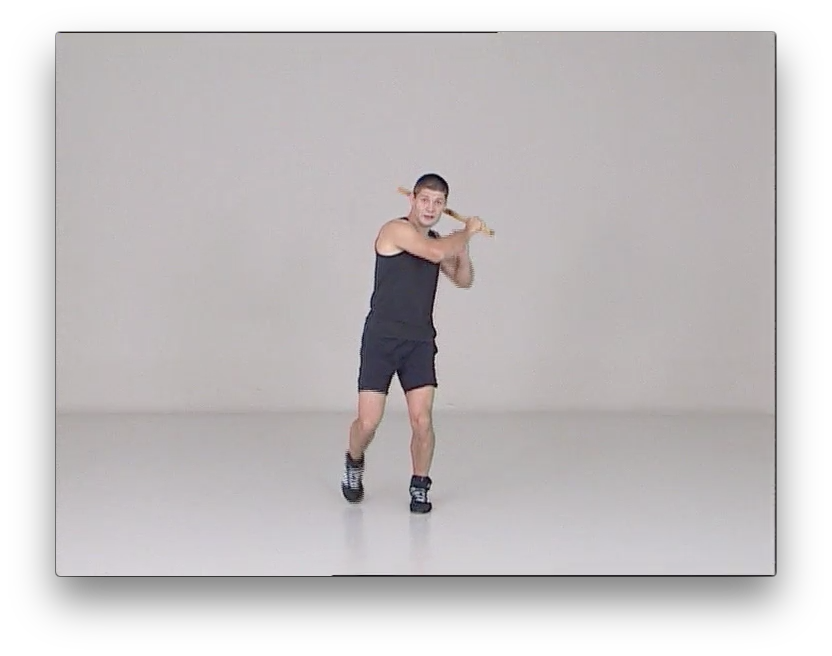 Dog Brothers Power Development by Benjamin Rittiner (On Demand) - Budovideos Inc