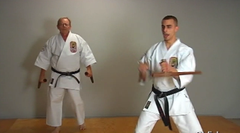 Insights into Okinawan Kobudo Vol-1 by Nick Adler (On Demand) - Budovideos Inc