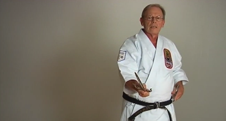 Insights into Okinawan Kobudo Vol-2 by Nick Adler (On Demand) - Budovideos Inc