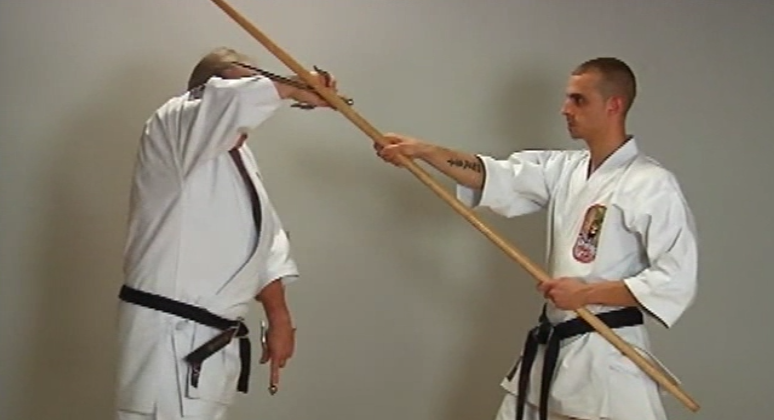 Insights into Okinawan Kobudo Vol-2 by Nick Adler (On Demand) - Budovideos Inc