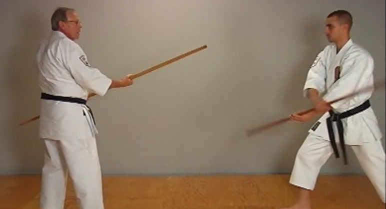 Insights into Okinawan Kobudo Vol-2 by Nick Adler (On Demand) - Budovideos Inc