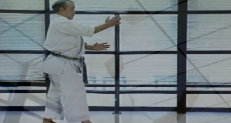 Anso No Kata by Tak Kubota (On Demand) - Budovideos Inc