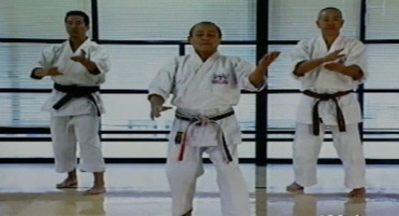 Anso No Kata by Tak Kubota (On Demand) - Budovideos Inc