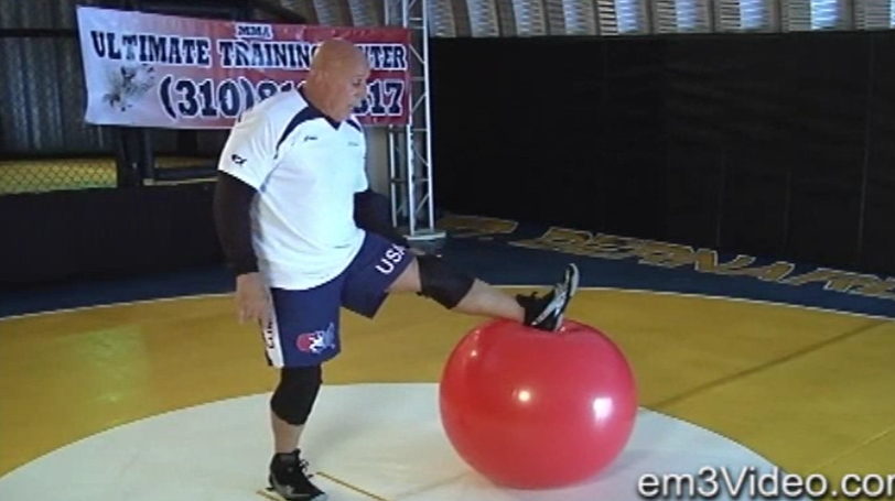 Submission Grappling Vol-3 by Bob Anderson (On Demand) - Budovideos Inc