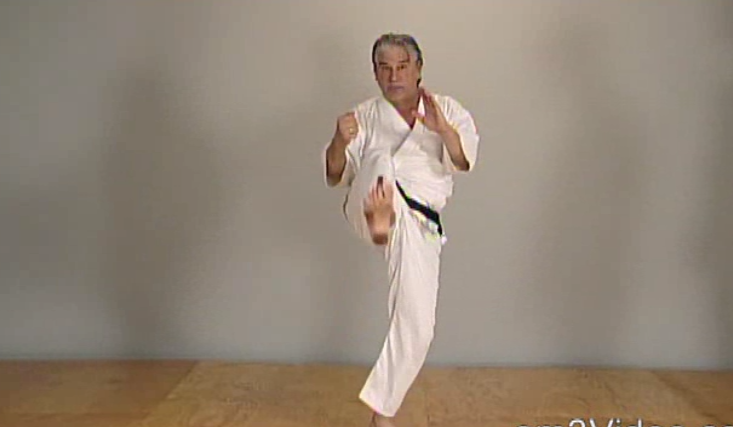 Combat Shotokan Karate Vol-3 by Tom Muzila (On Demand) - Budovideos Inc