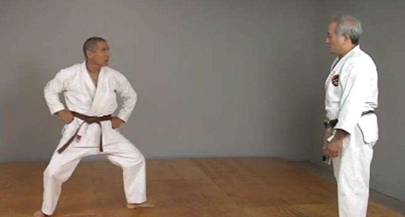 Okinawan Karate Shorin Ryu Vol-1 by Eihachi Ota (On Demand) - Budovideos Inc