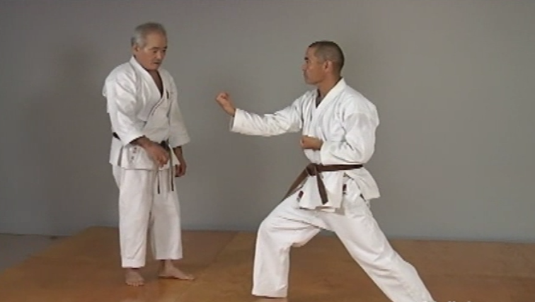 Okinawan Karate Shorin Ryu Vol-1 by Eihachi Ota (On Demand) - Budovideos Inc