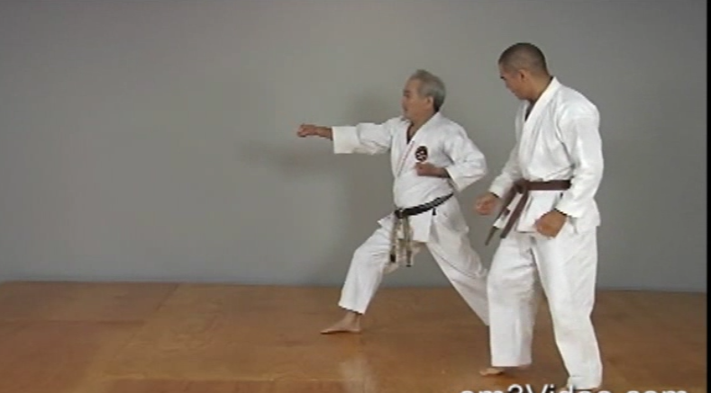 Okinawan Karate Shorin Ryu Vol-2 by Eihachi Ota (On Demand) - Budovideos Inc