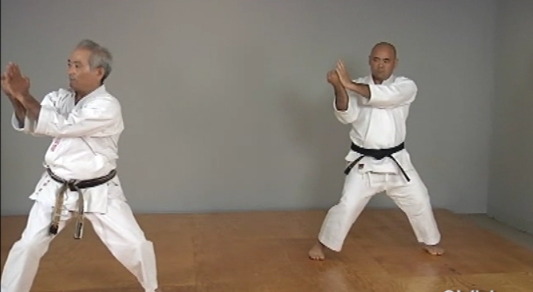 Okinawan Karate Shorin Ryu Vol-2 by Eihachi Ota (On Demand) - Budovideos Inc