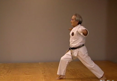 Okinawan Karate Shorin Ryu Vol-3 by Eihachi Ota (On Demand) - Budovideos Inc
