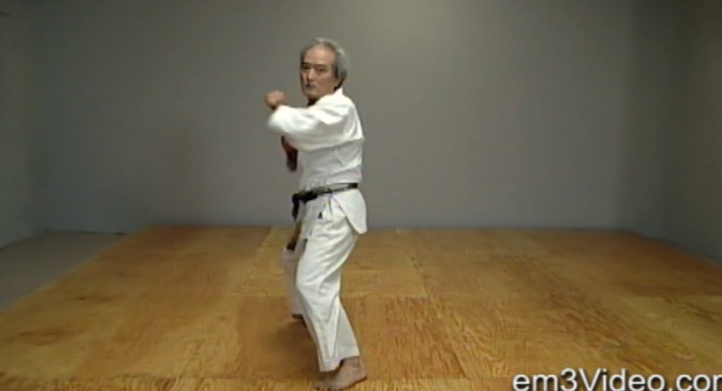 Okinawan Karate Shorin Ryu Vol-3 by Eihachi Ota (On Demand) - Budovideos Inc