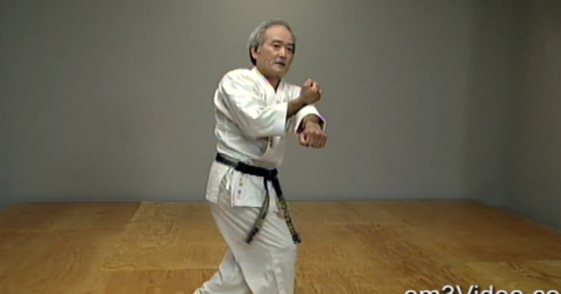 Okinawan Karate Shorin Ryu Vol-3 by Eihachi Ota (On Demand) - Budovideos Inc