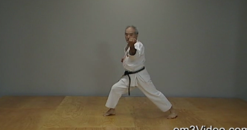 Okinawan Karate Shorin Ryu Vol-4 by Eihachi Ota (On Demand) - Budovideos Inc