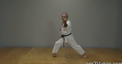 Okinawan Karate Shorin Ryu Vol-4 by Eihachi Ota (On Demand) - Budovideos Inc
