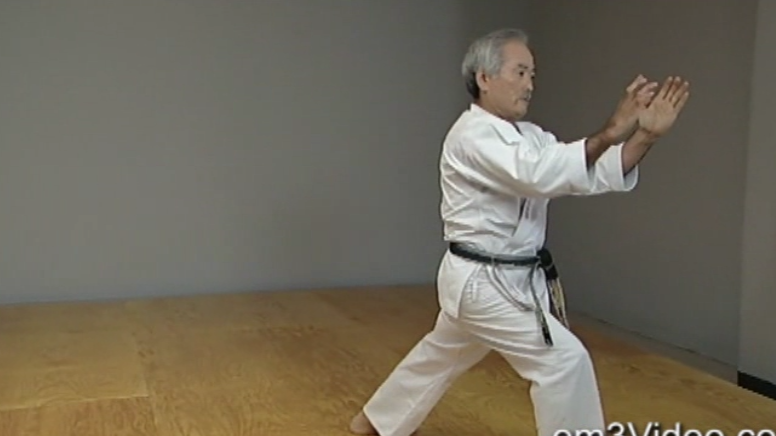 Okinawan Karate Shorin Ryu Vol-5 by Eihachi Ota (On Demand) - Budovideos Inc