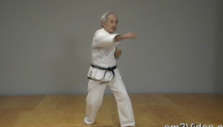 Okinawan Karate Shorin Ryu Vol-5 by Eihachi Ota (On Demand) - Budovideos Inc