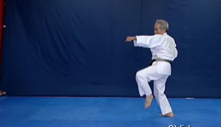 Okinawan Karate Shorin Ryu Vol-5 by Eihachi Ota (On Demand) - Budovideos Inc