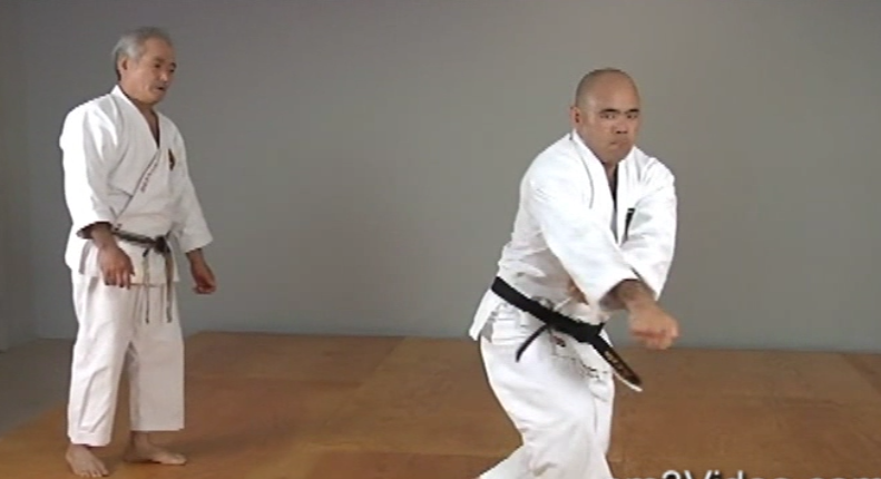 Okinawan Karate Shorin Ryu Vol-5 by Eihachi Ota (On Demand) - Budovideos Inc