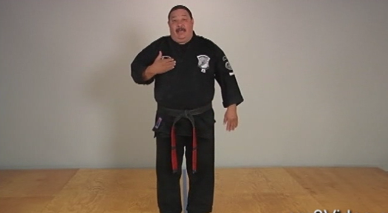 ABC's of Kenpo Karate Volume 1 by Frank Trejo (On Demand) - Budovideos Inc