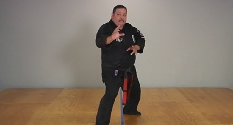 ABC's of Kenpo Karate Volume 1 by Frank Trejo (On Demand) - Budovideos Inc