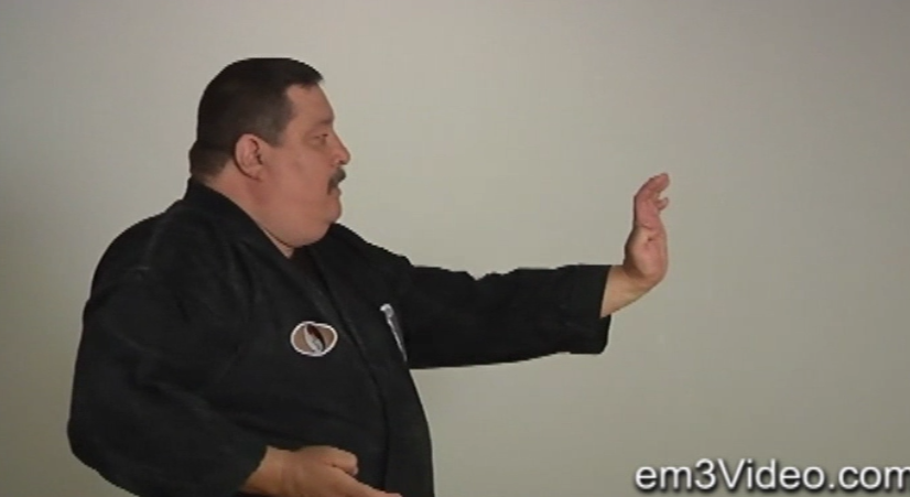 ABC's of Kenpo Karate Volume 1 by Frank Trejo (On Demand) - Budovideos Inc