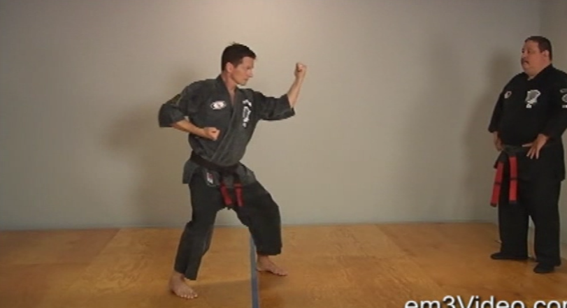 ABC's of Kenpo Karate Volume 2 by Frank Trejo (On Demand) - Budovideos Inc