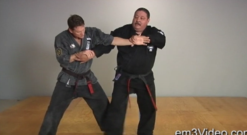 ABC's of Kenpo Karate Volume 3 by Frank Trejo (On Demand) - Budovideos Inc
