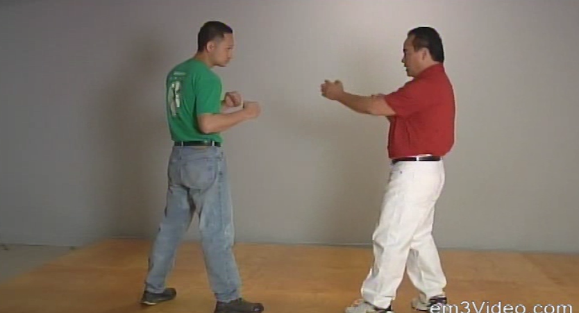 Fundamental Wing Chun Kung Fu by Allan Lee (On Demand) - Budovideos Inc