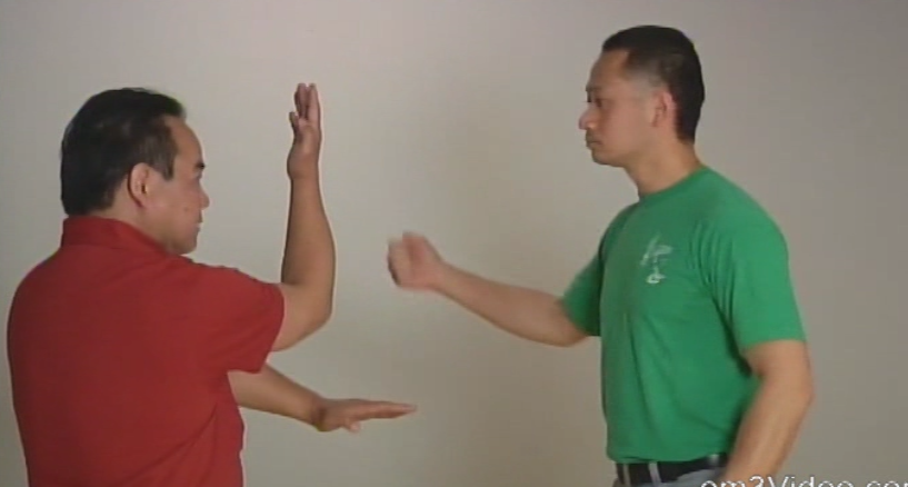 Fundamental Wing Chun Kung Fu by Allan Lee (On Demand) - Budovideos Inc
