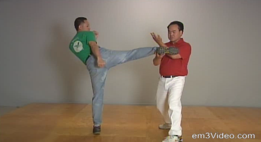 Fundamental Wing Chun Kung Fu by Allan Lee (On Demand) - Budovideos Inc