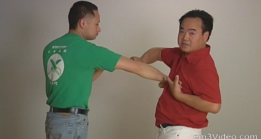 Fundamental Wing Chun Kung Fu by Allan Lee (On Demand) - Budovideos Inc