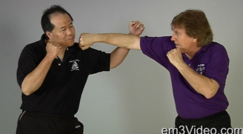 Masterclass Jeet Kune Do Vol-1 by Chris Kent (On Demand) - Budovideos Inc
