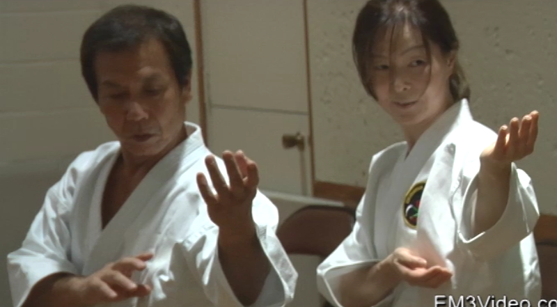 Koshi Shorin Ryu Karate Seminar Vol-2 by Eihachi Ota (On Demand) - Budovideos Inc