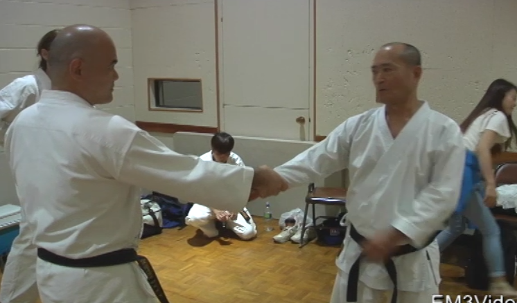 Koshi Shorin Ryu Karate Seminar Vol-2 by Eihachi Ota (On Demand) - Budovideos Inc